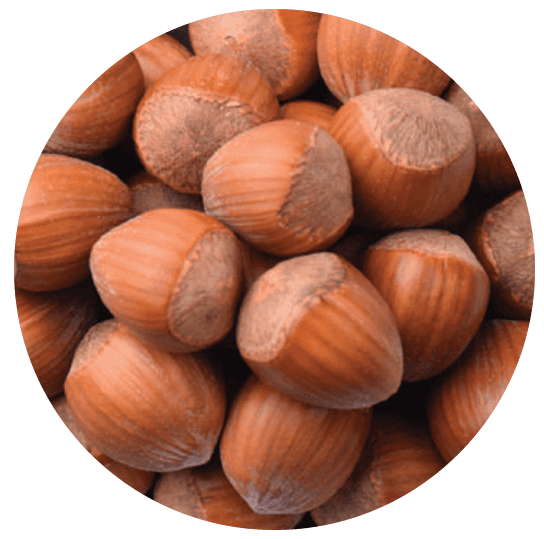 HAZELNUT KERNEL