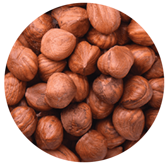 HAZELNUT KERNEL