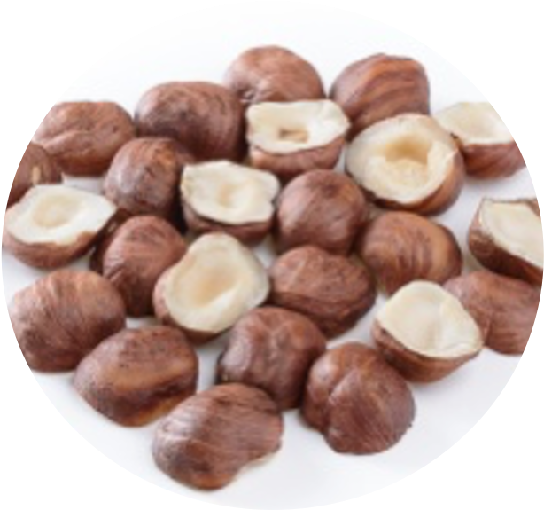 Hazelnut halves