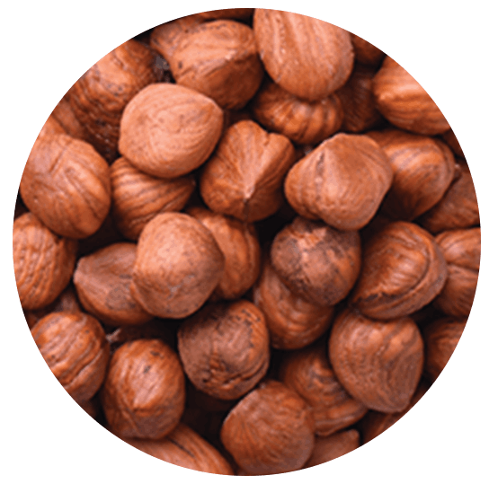Hazelnut kernels